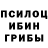 Псилоцибиновые грибы Psilocybe Nagima Kenjeeva