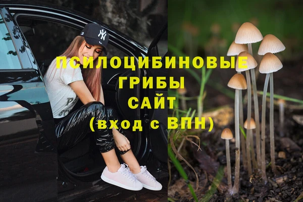 таблы Белокуриха