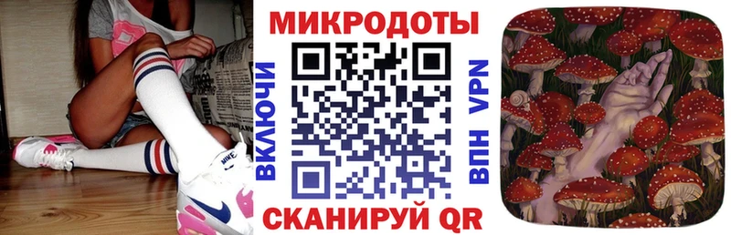закладки  Пятигорск  Галлюциногенные грибы Psilocybine cubensis 