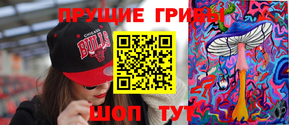 Пятигорск  Псилоцибиновые грибы Cubensis  Вход с VPN 