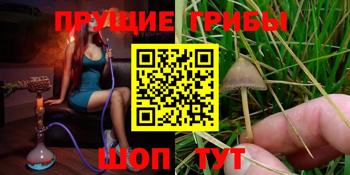 Галлюциногенные грибы мухоморы Пятигорск